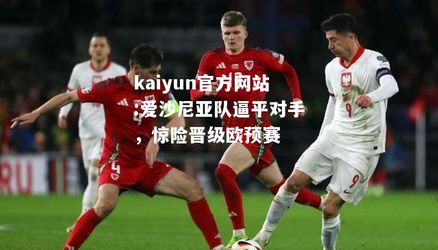 kaiyun官方网站:爱沙尼亚队逼平对手，惊险晋级欧预赛