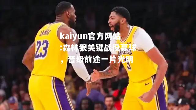 kaiyun官方网站:森林狼关键战役赢球，晋级前途一片光明